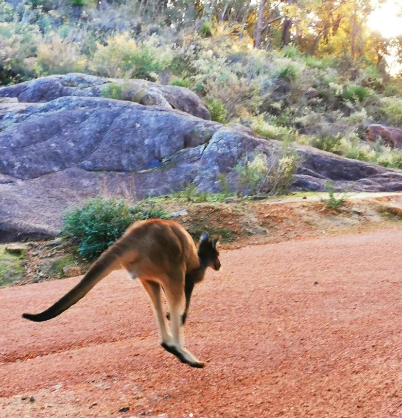 Mahogany Inn And Distillery Mahogany Creek ภายนอก รูปภาพ